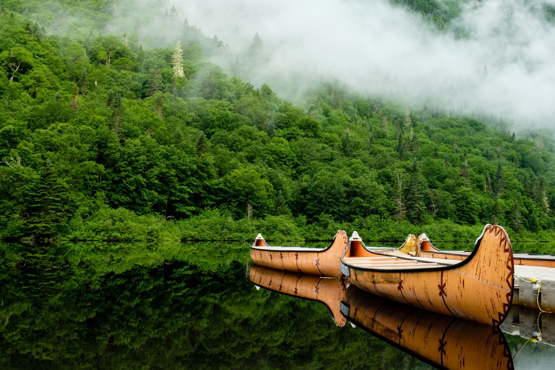 canoe-riviere-parc-jacques-cartier-canada