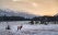 caribou-dans-neige-parc-jasper-canada
