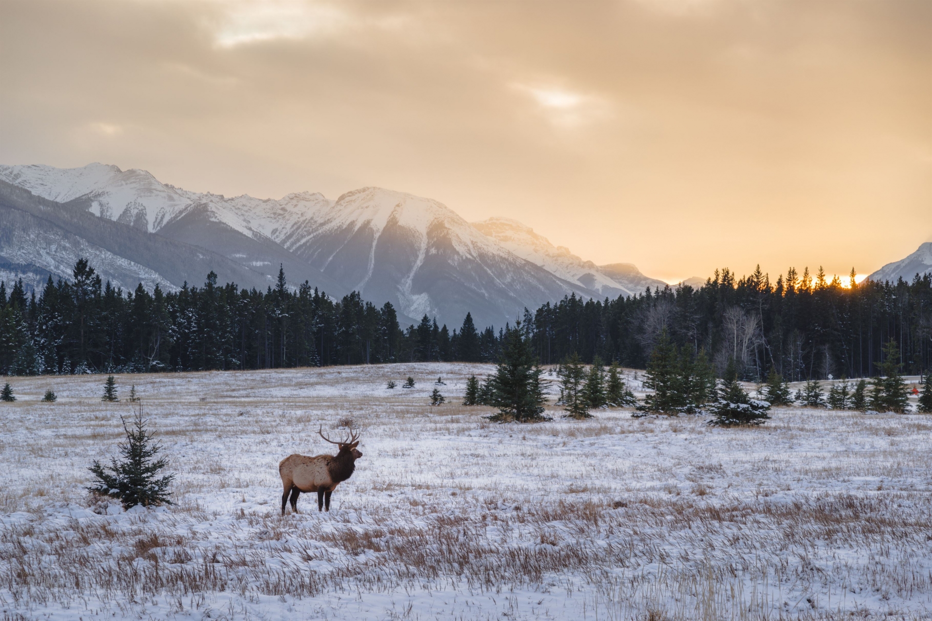 voyage en hiver au canada