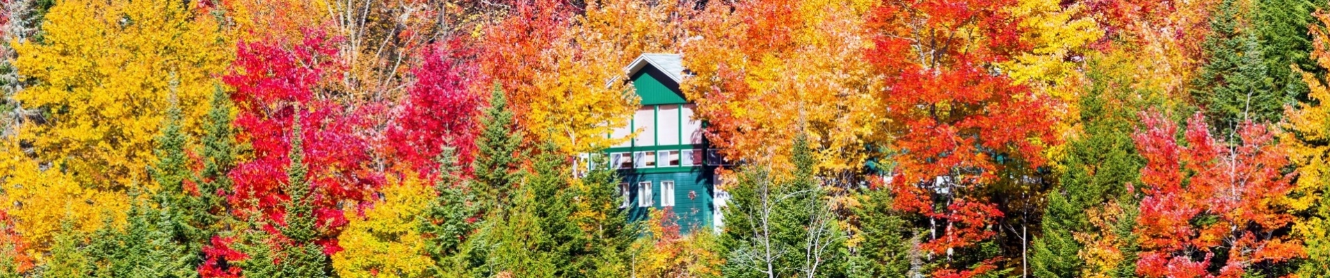 maison-dans-foret-couleurs-automne-canada