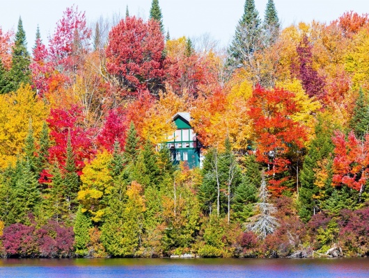 maison-dans-foret-couleurs-automne-canada