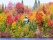 maison-dans-foret-couleurs-automne-canada