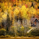 maison-typique-bord-lac-foret-automne-canda