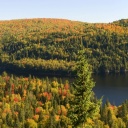 paysage-lac-foret-parc-mauricie-quebec