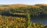 paysage-lac-foret-parc-mauricie-quebec