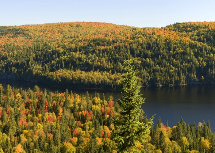 paysage-lac-foret-parc-mauricie-quebec