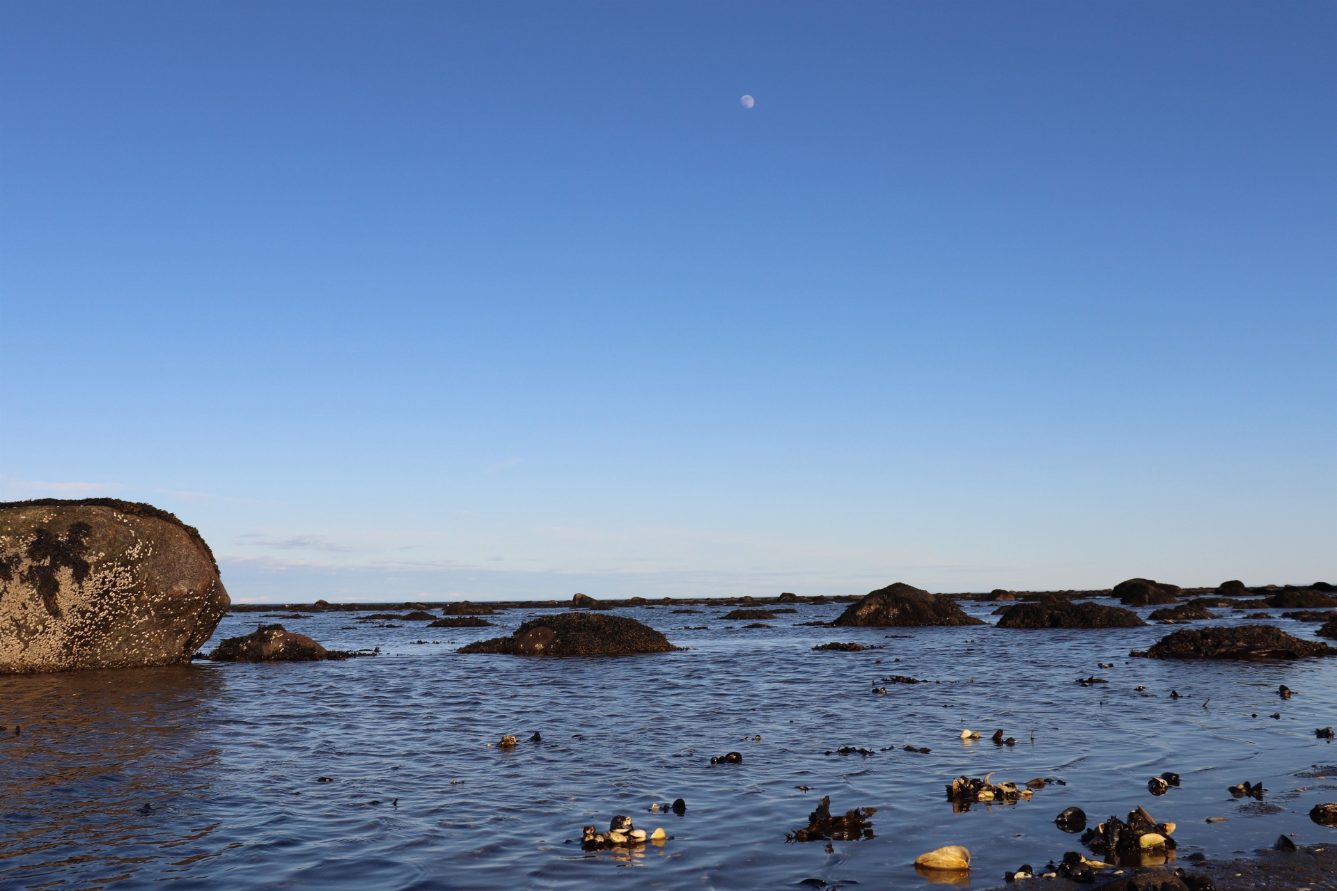 plage-baie-comeau-quebec-canada