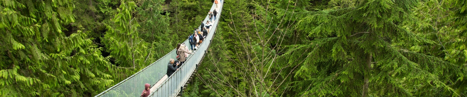 pont-suspendu-alberta-canada