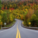 route-arbres-colores-parc-forillon-canada