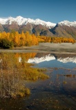 tok-alaska-usa
