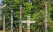 totem-amerindien-stanley-park-vancouver-canada