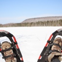 voyage-hiver-quebec-raquettes