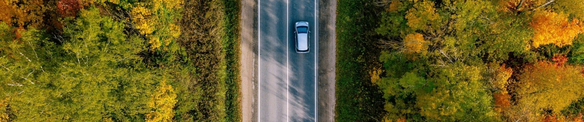 vue-aerienne-voiture-roulant-foret-canada