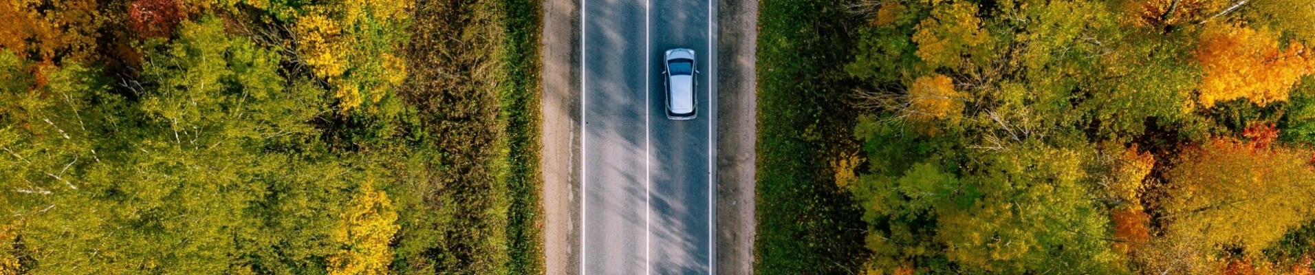 vue-aerienne-voiture-roulant-foret-canada