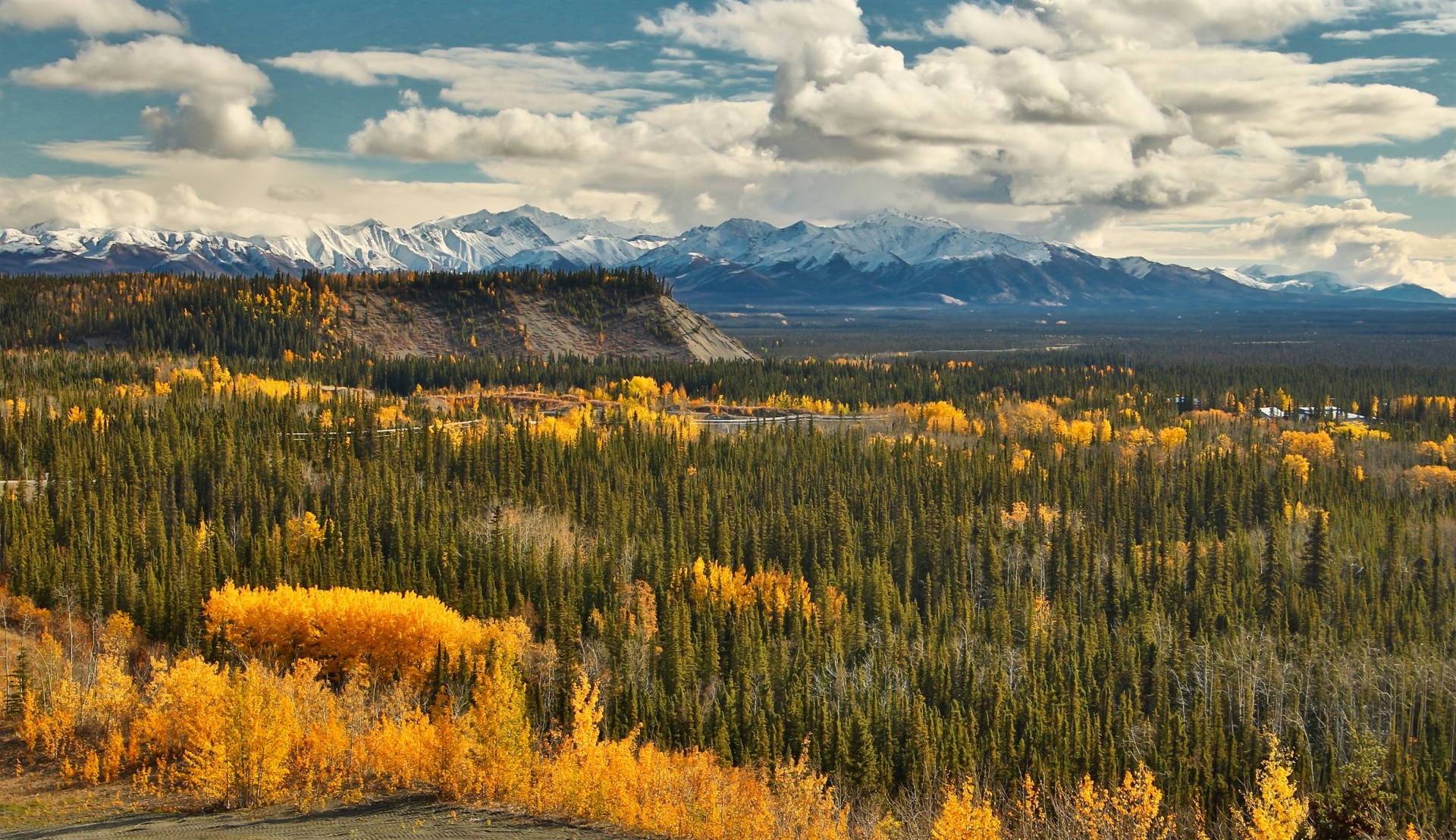 vue-foret-proche-haines-ete-indien-canada