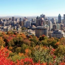 vue-mont-royal-building-montreal-automne