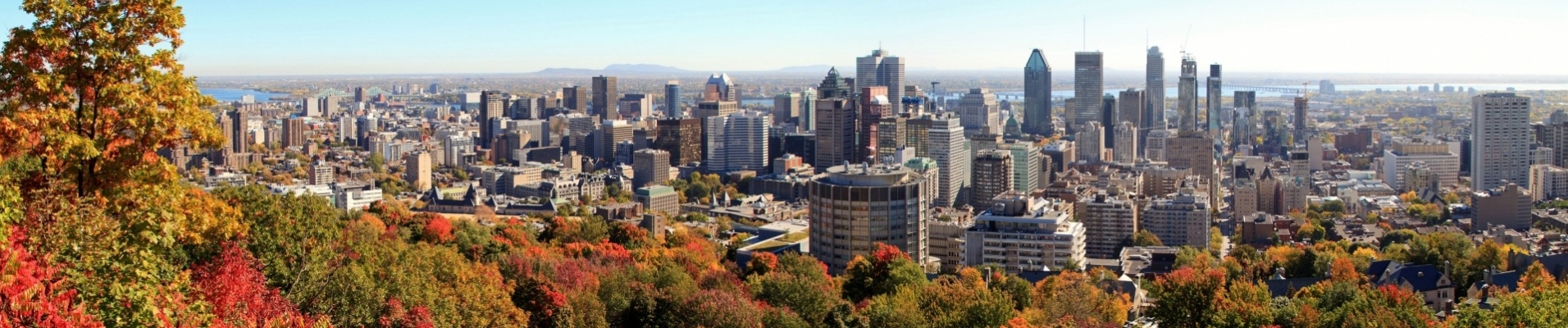 vue-mont-royal-building-montreal-automne