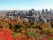 vue-mont-royal-building-montreal-automne