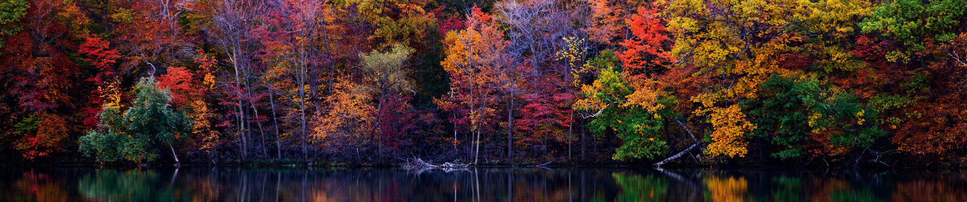 automne-quebec-canada