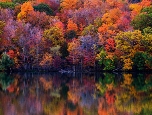 automne-quebec-canada