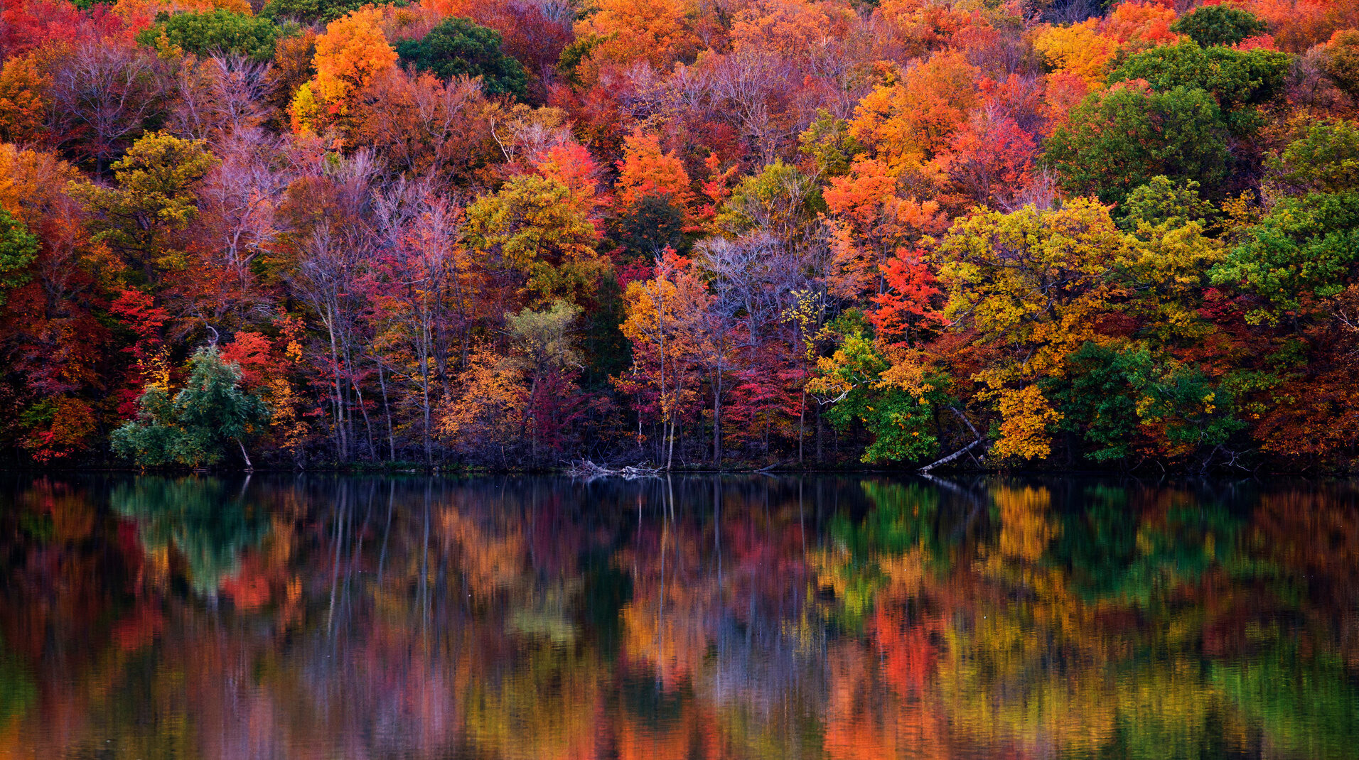 automne-quebec-canada
